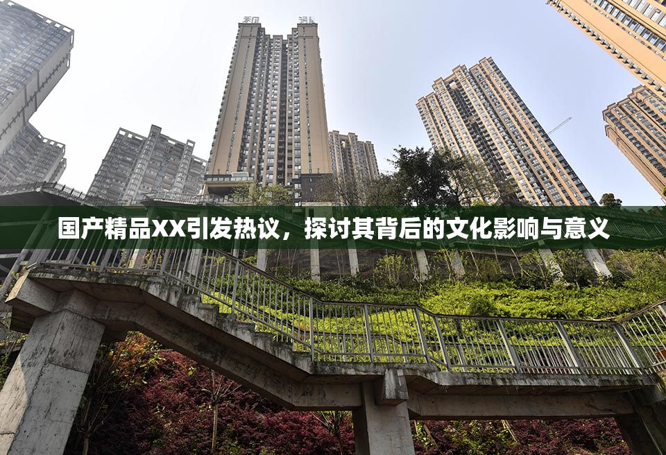国产精品XX引发热议，探讨其背后的文化影响与意义