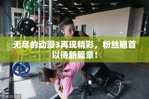 无尽的动漫3再现精彩，粉丝翘首以待新篇章！