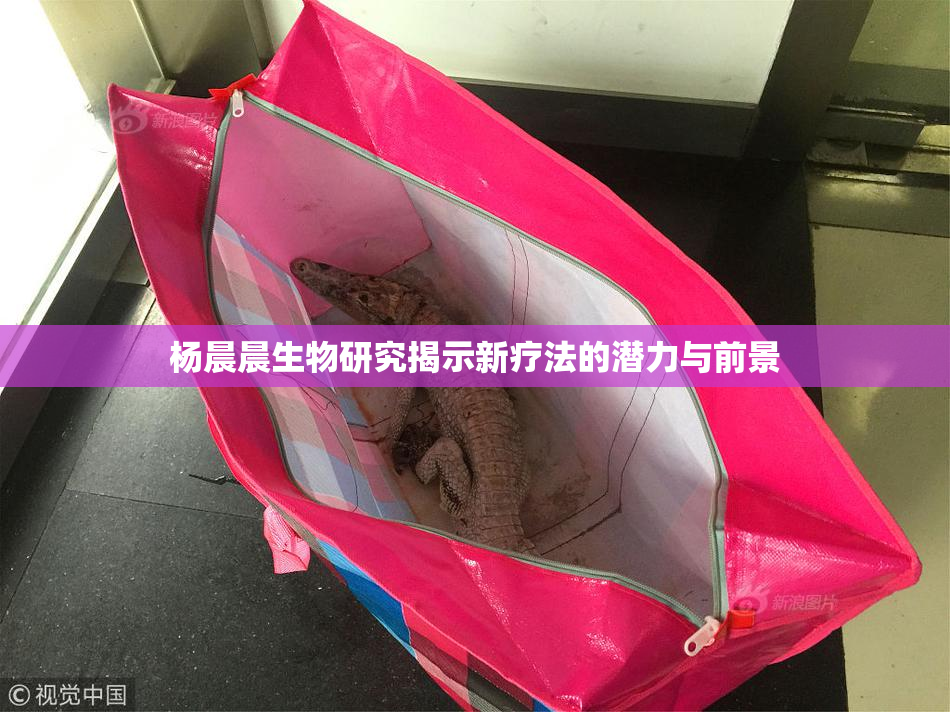 杨晨晨生物研究揭示新疗法的潜力与前景