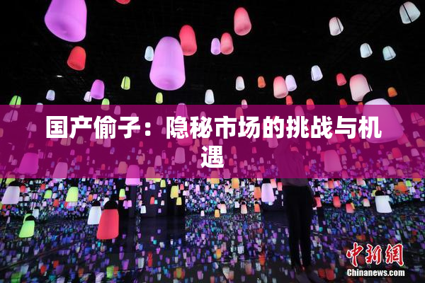 国产偷子：隐秘市场的挑战与机遇