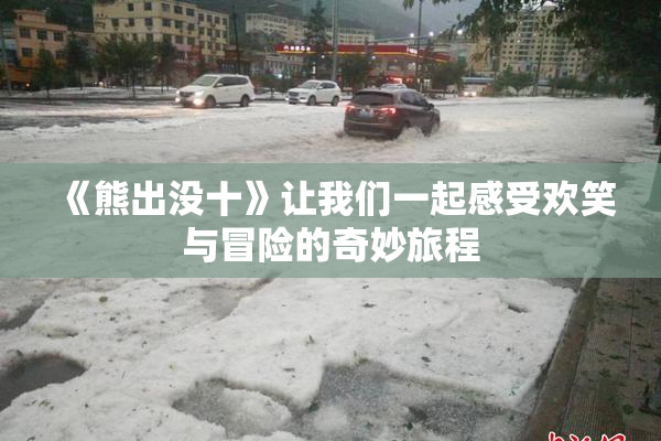 《熊出没十》让我们一起感受欢笑与冒险的奇妙旅程