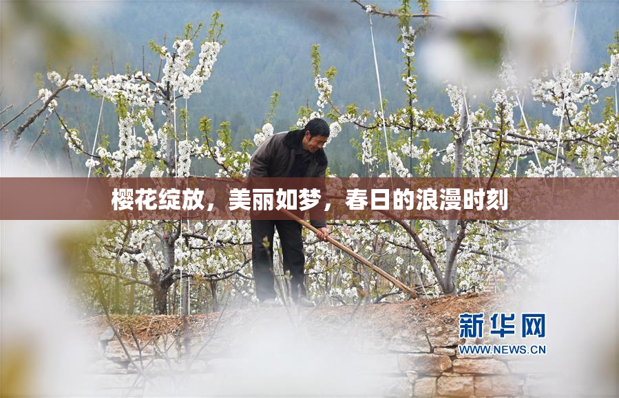 樱花绽放，美丽如梦，春日的浪漫时刻