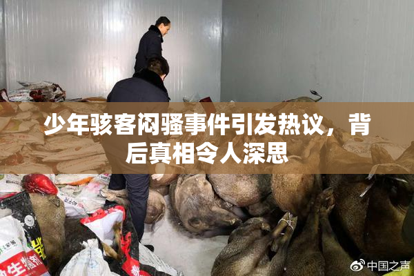 少年骇客闷骚事件引发热议，背后真相令人深思