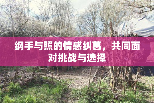 纲手与照的情感纠葛，共同面对挑战与选择