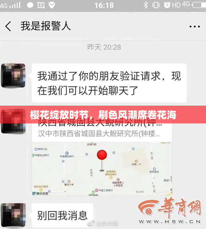 樱花绽放时节，刷色风潮席卷花海