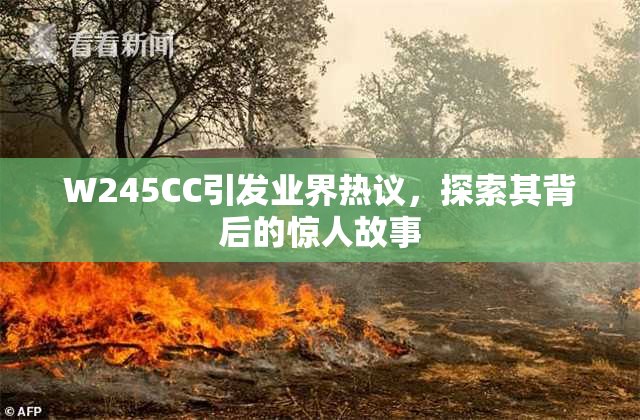 W245CC引发业界热议，探索其背后的惊人故事