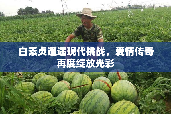 白素贞遭遇现代挑战，爱情传奇再度绽放光彩