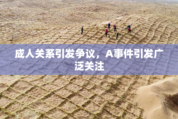成人关系引发争议，A事件引发广泛关注