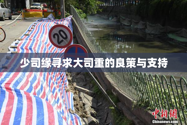 少司缘寻求大司重的良策与支持
