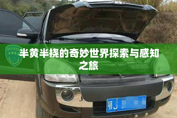 半黄半挠的奇妙世界探索与感知之旅