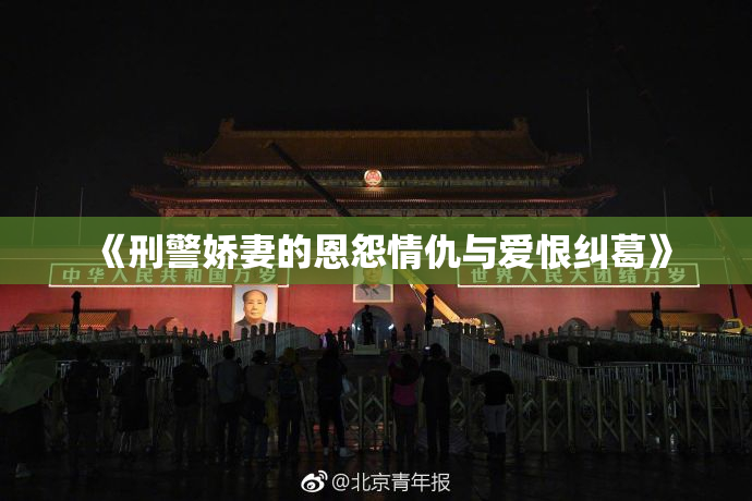 《刑警娇妻的恩怨情仇与爱恨纠葛》