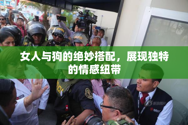 女人与狗的绝妙搭配，展现独特的情感纽带