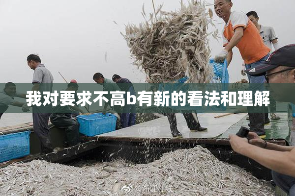 我对要求不高b有新的看法和理解