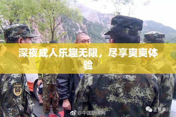 深夜成人乐趣无限，尽享爽爽体验