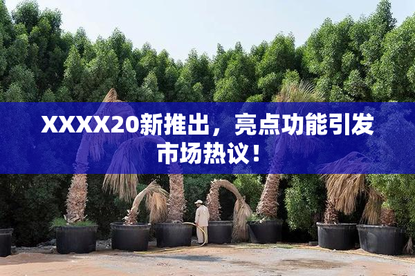 XXXX20新推出，亮点功能引发市场热议！