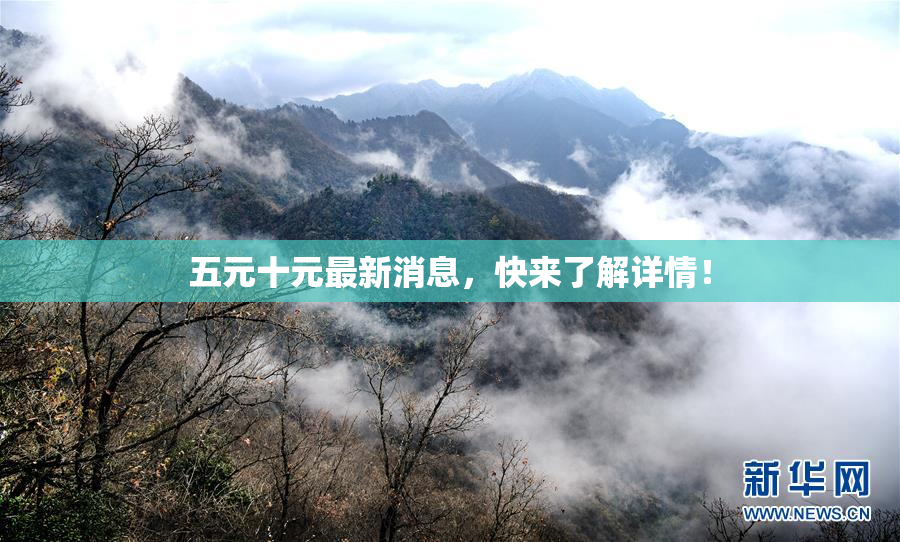 五元十元最新消息，快来了解详情！