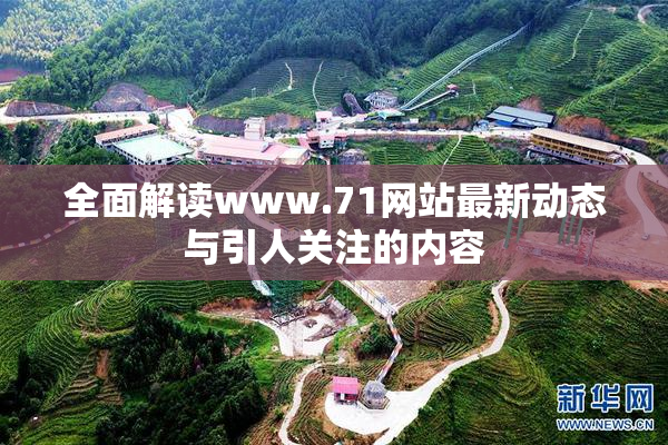 全面解读www.71网站最新动态与引人关注的内容