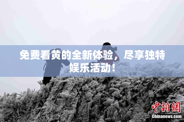 免费看黄的全新体验，尽享独特娱乐活动！