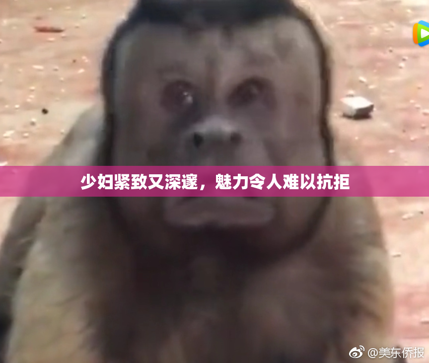 少妇紧致又深邃，魅力令人难以抗拒
