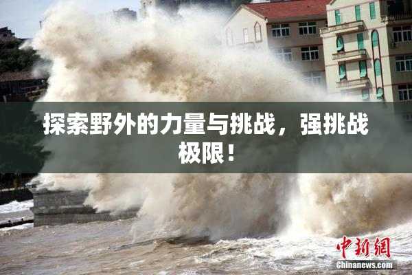 探索野外的力量与挑战，强挑战极限！