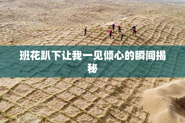 班花趴下让我一见倾心的瞬间揭秘