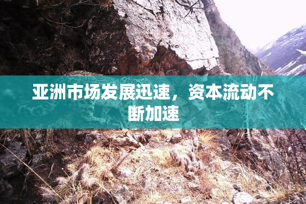 亚洲市场发展迅速，资本流动不断加速