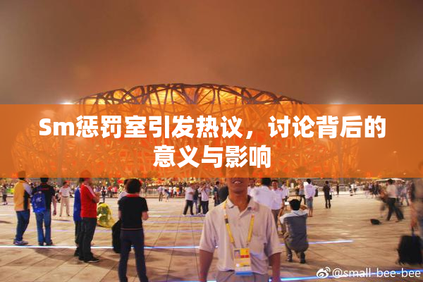 Sm惩罚室引发热议，讨论背后的意义与影响