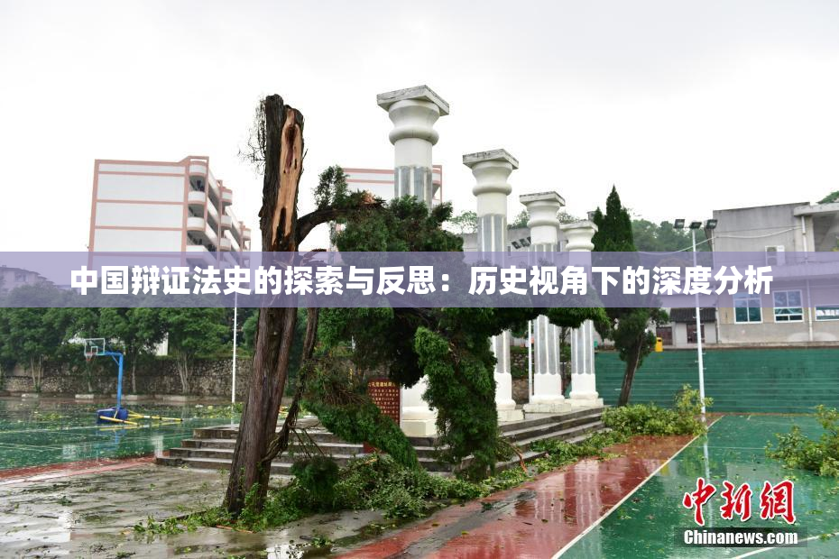 中国辩证法史的探索与反思：历史视角下的深度分析