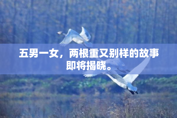 五男一女，两根重又别样的故事即将揭晓。