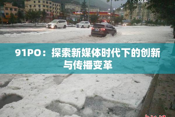 91PO：探索新媒体时代下的创新与传播变革