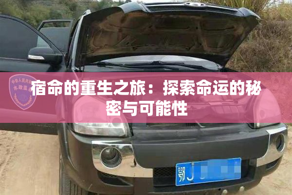 宿命的重生之旅：探索命运的秘密与可能性