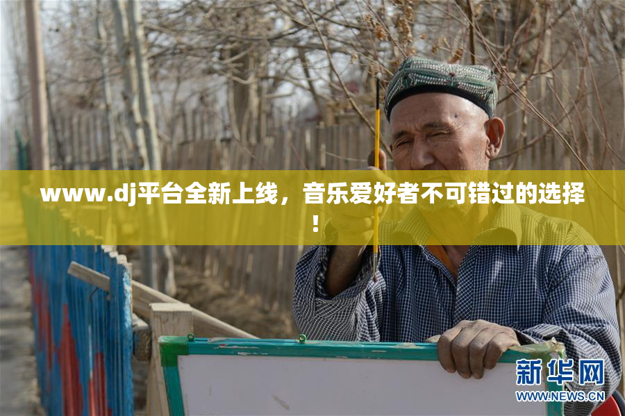 www.dj平台全新上线，音乐爱好者不可错过的选择！