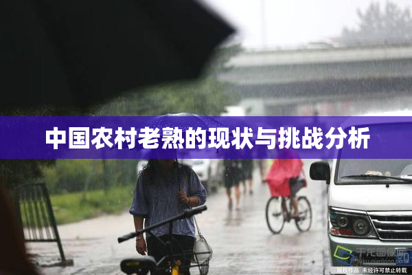 中国农村老熟的现状与挑战分析