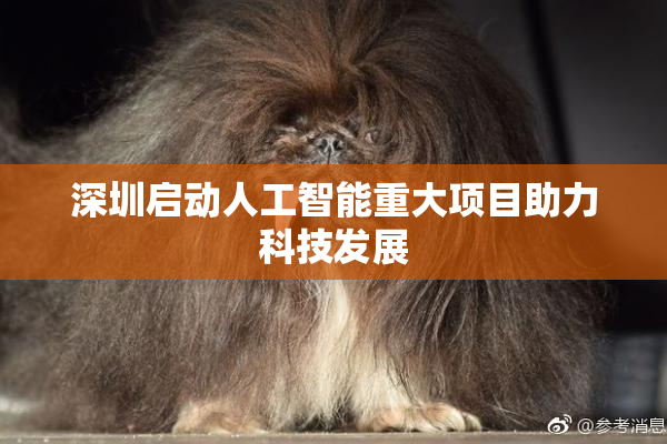 深圳启动人工智能重大项目助力科技发展