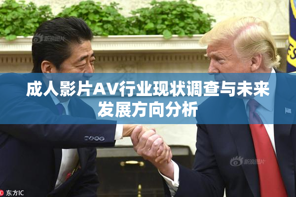成人影片AV行业现状调查与未来发展方向分析