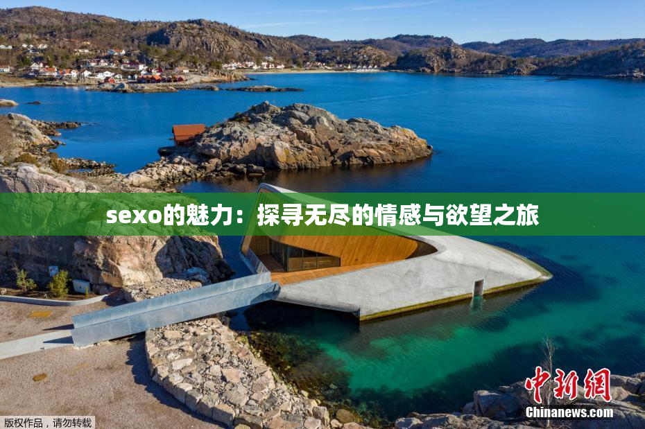 sexo的魅力：探寻无尽的情感与欲望之旅