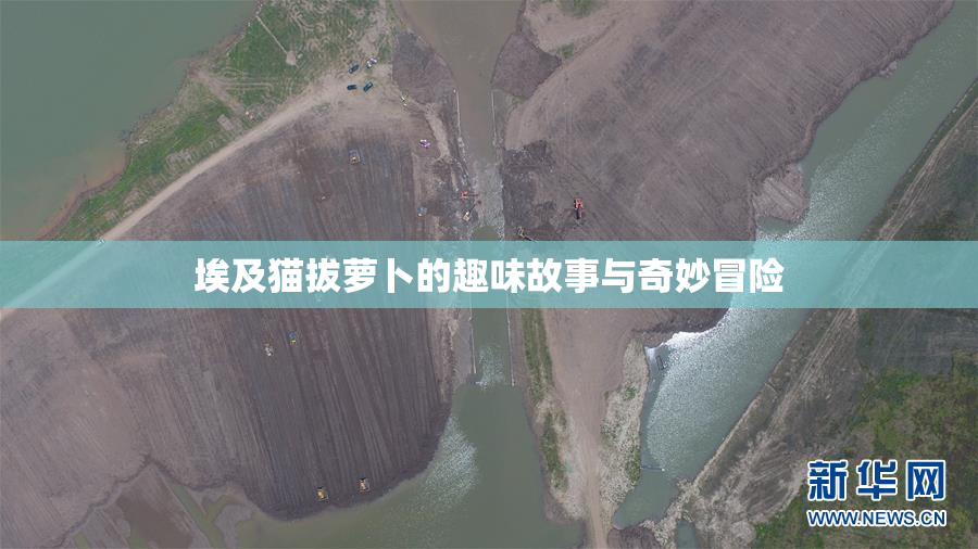 埃及猫拔萝卜的趣味故事与奇妙冒险