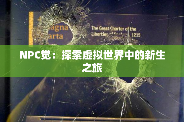 NPC觉：探索虚拟世界中的新生之旅