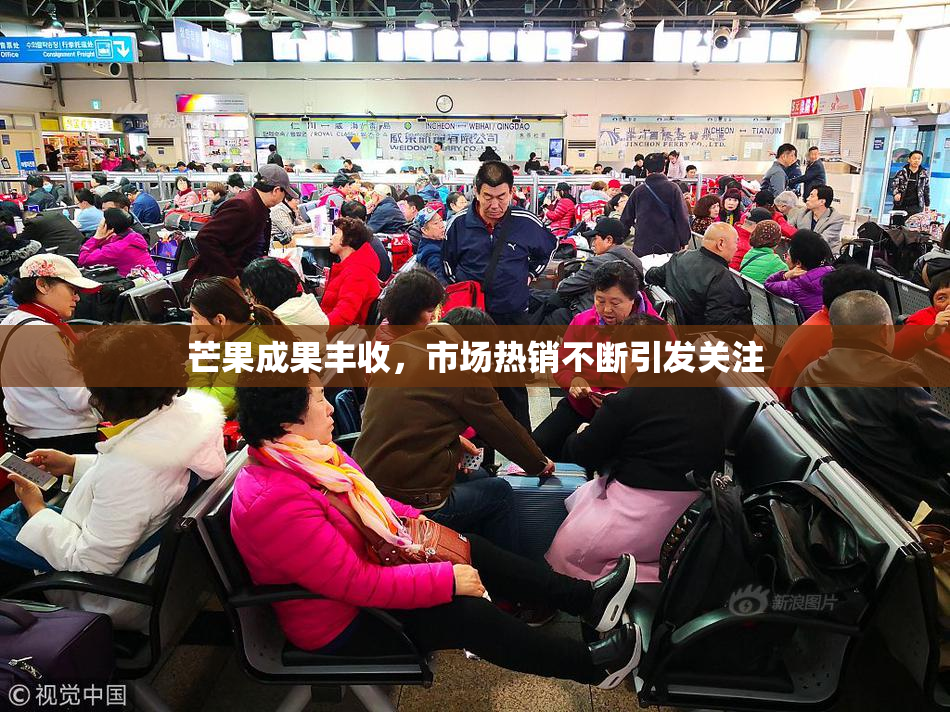 芒果成果丰收，市场热销不断引发关注