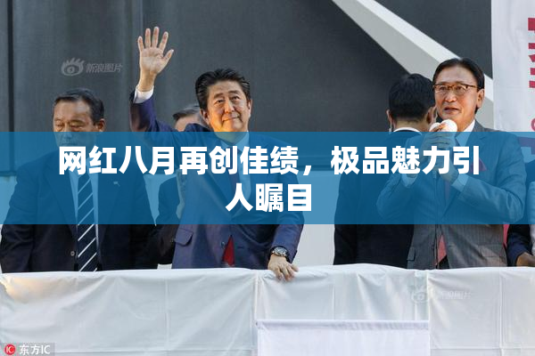 网红八月再创佳绩，极品魅力引人瞩目