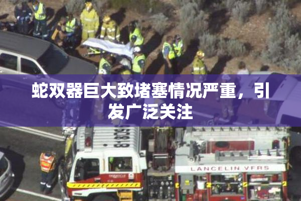蛇双器巨大致堵塞情况严重，引发广泛关注