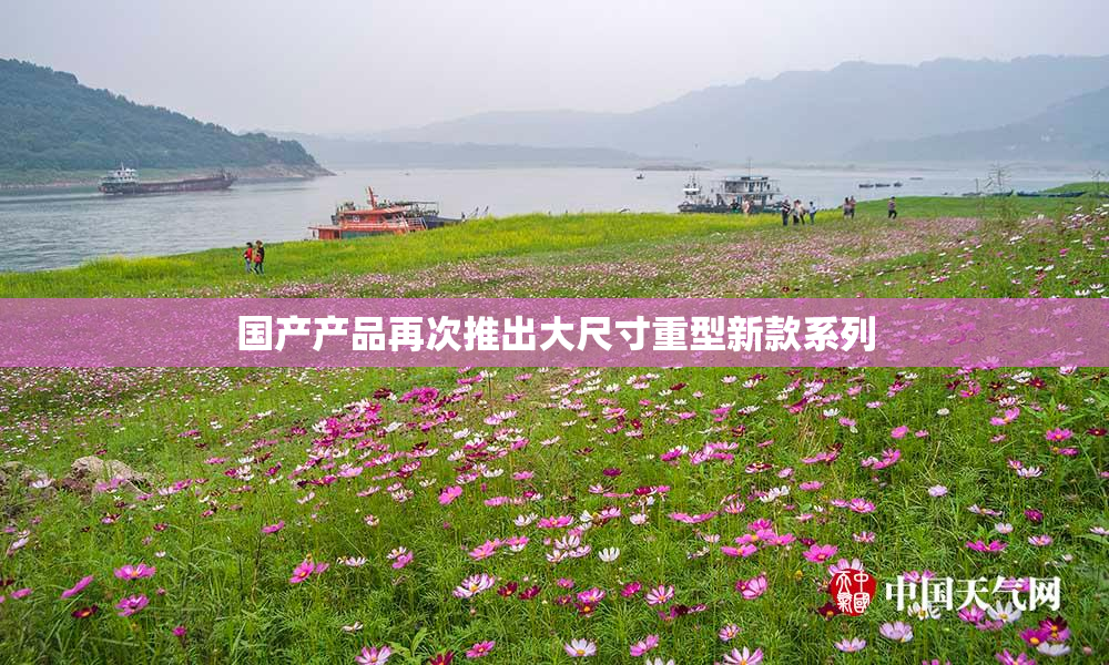 国产产品再次推出大尺寸重型新款系列