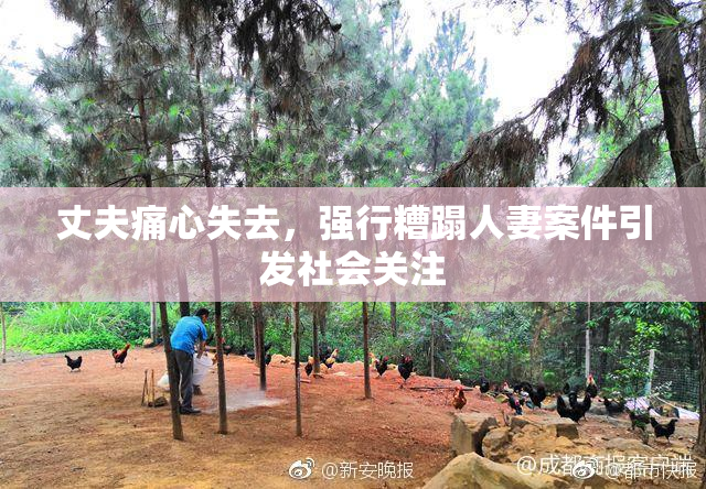 丈夫痛心失去，强行糟蹋人妻案件引发社会关注