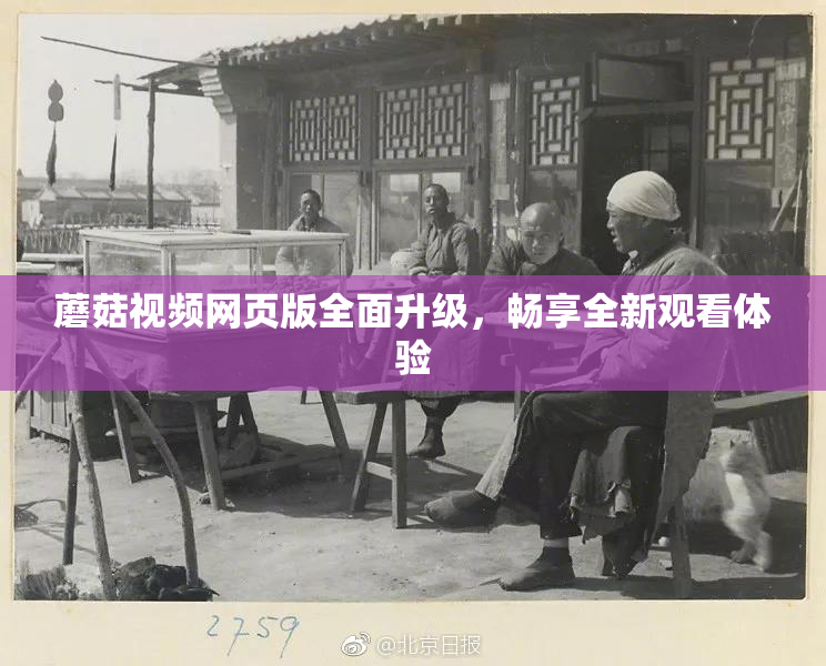 蘑菇视频网页版全面升级，畅享全新观看体验