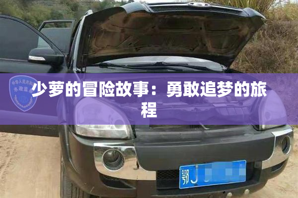 少萝的冒险故事：勇敢追梦的旅程