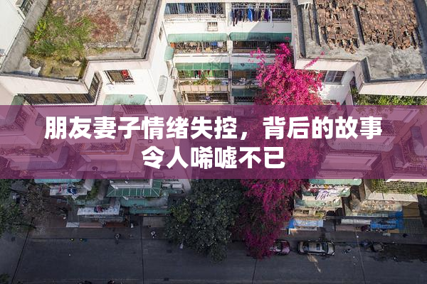 朋友妻子情绪失控，背后的故事令人唏嘘不已