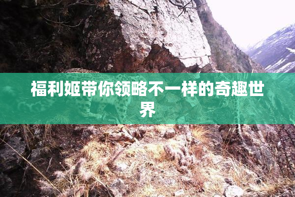 福利姬带你领略不一样的奇趣世界