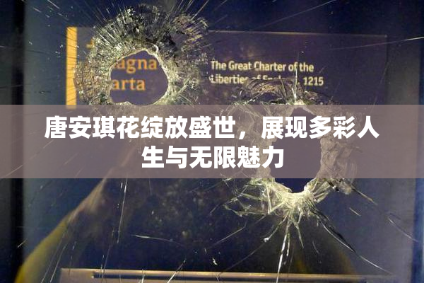 唐安琪花绽放盛世，展现多彩人生与无限魅力