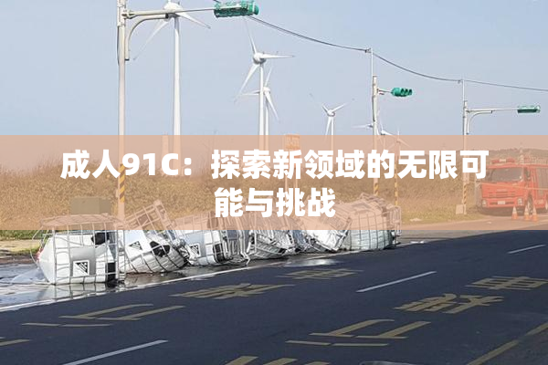 成人91C：探索新领域的无限可能与挑战