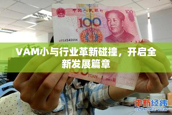 VAM小与行业革新碰撞，开启全新发展篇章